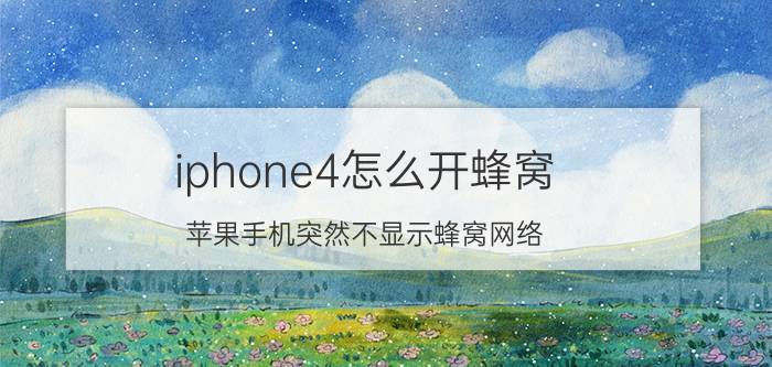 iphone4怎么开蜂窝 苹果手机突然不显示蜂窝网络？